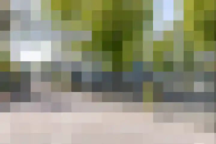 Wilhelminastraat 4 Zwaag thumbnail 29