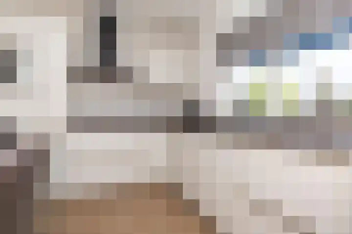 Wilhelminastraat 4 Zwaag thumbnail 9