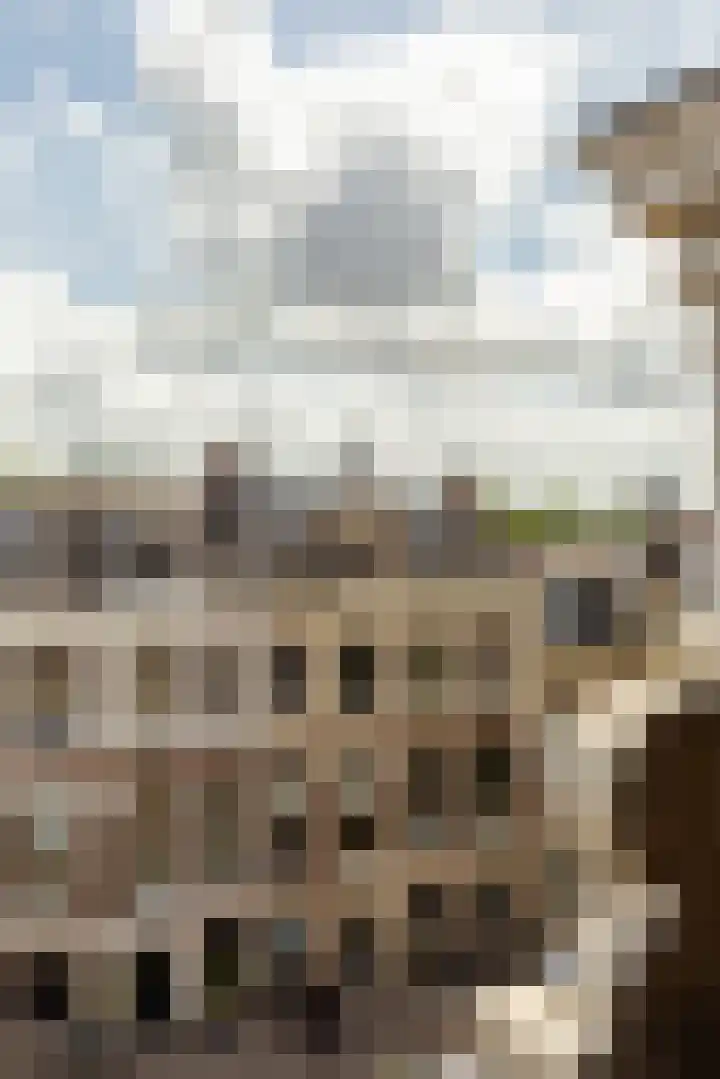 Wilhelminastraat 40 B Haarlem thumbnail 29