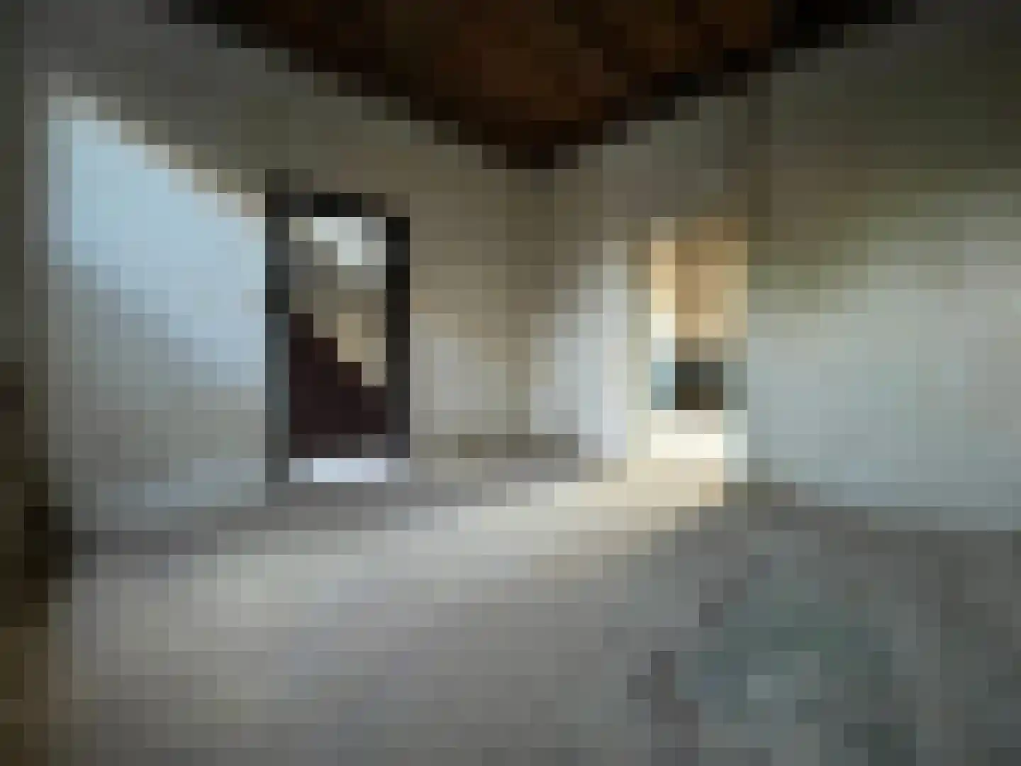 Wilhelminastraat 40 Bocholtz thumbnail 11