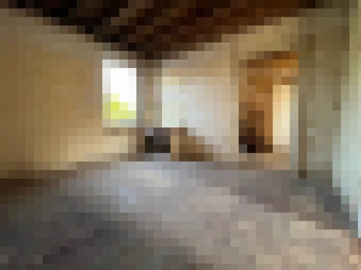 Wilhelminastraat 40 Bocholtz thumbnail 15