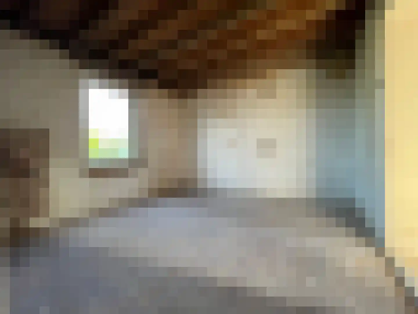 Wilhelminastraat 40 Bocholtz thumbnail 17
