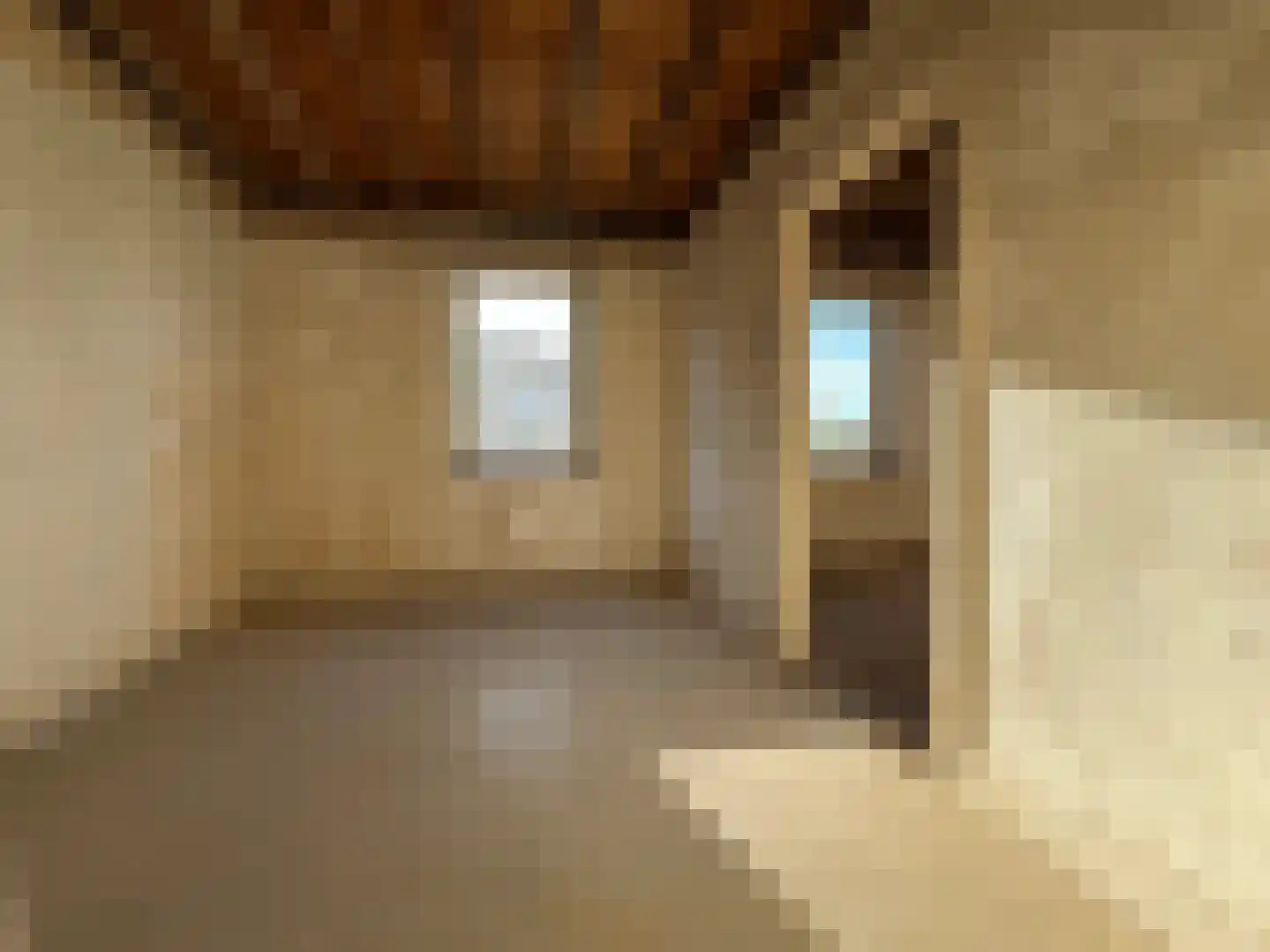 Wilhelminastraat 40 Bocholtz thumbnail 18
