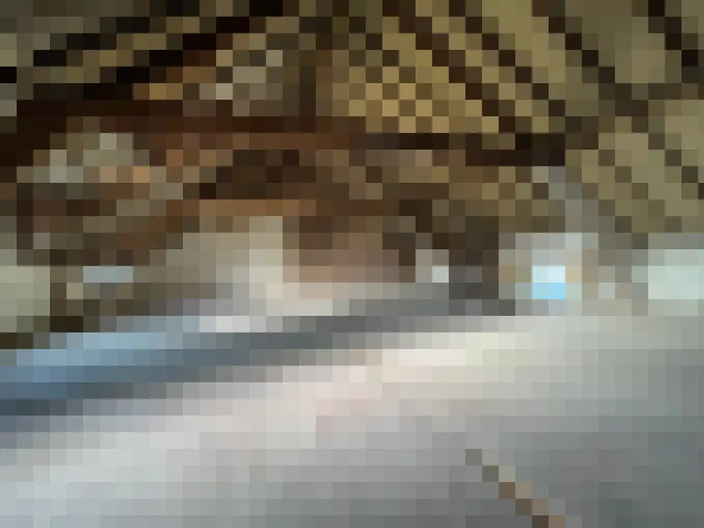 Wilhelminastraat 40 Bocholtz thumbnail 20