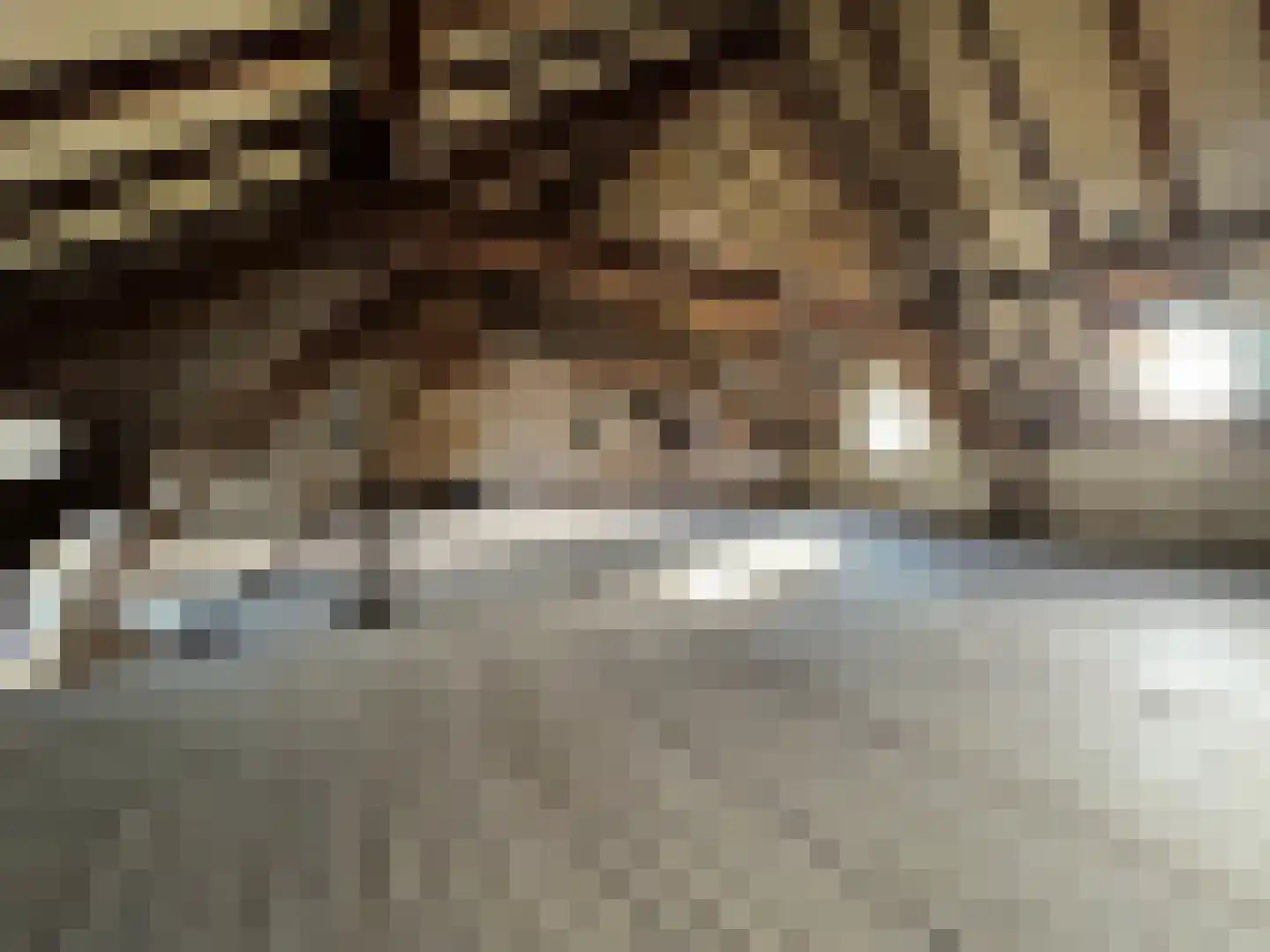 Wilhelminastraat 40 Bocholtz thumbnail 21