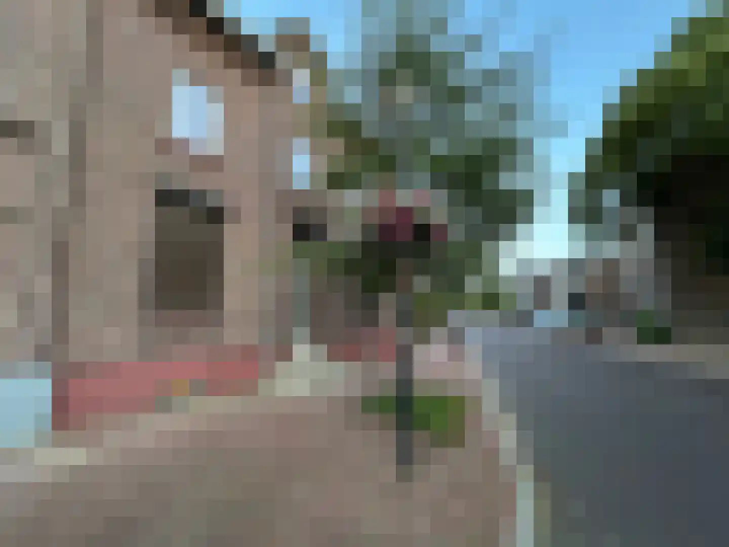 Wilhelminastraat 40 Bocholtz thumbnail 29