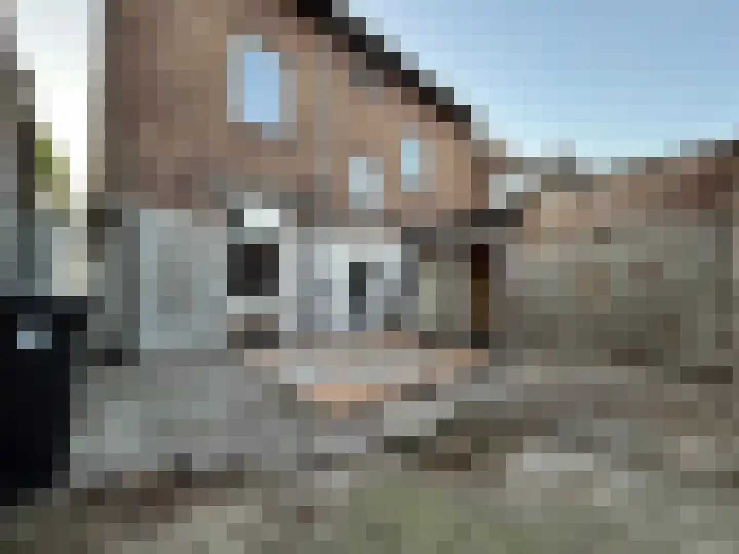 Wilhelminastraat 40 Bocholtz thumbnail 4