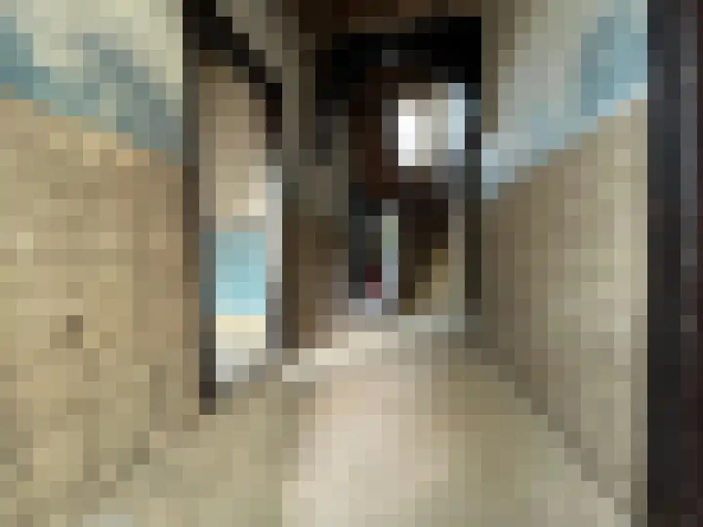 Wilhelminastraat 40 Bocholtz thumbnail 6