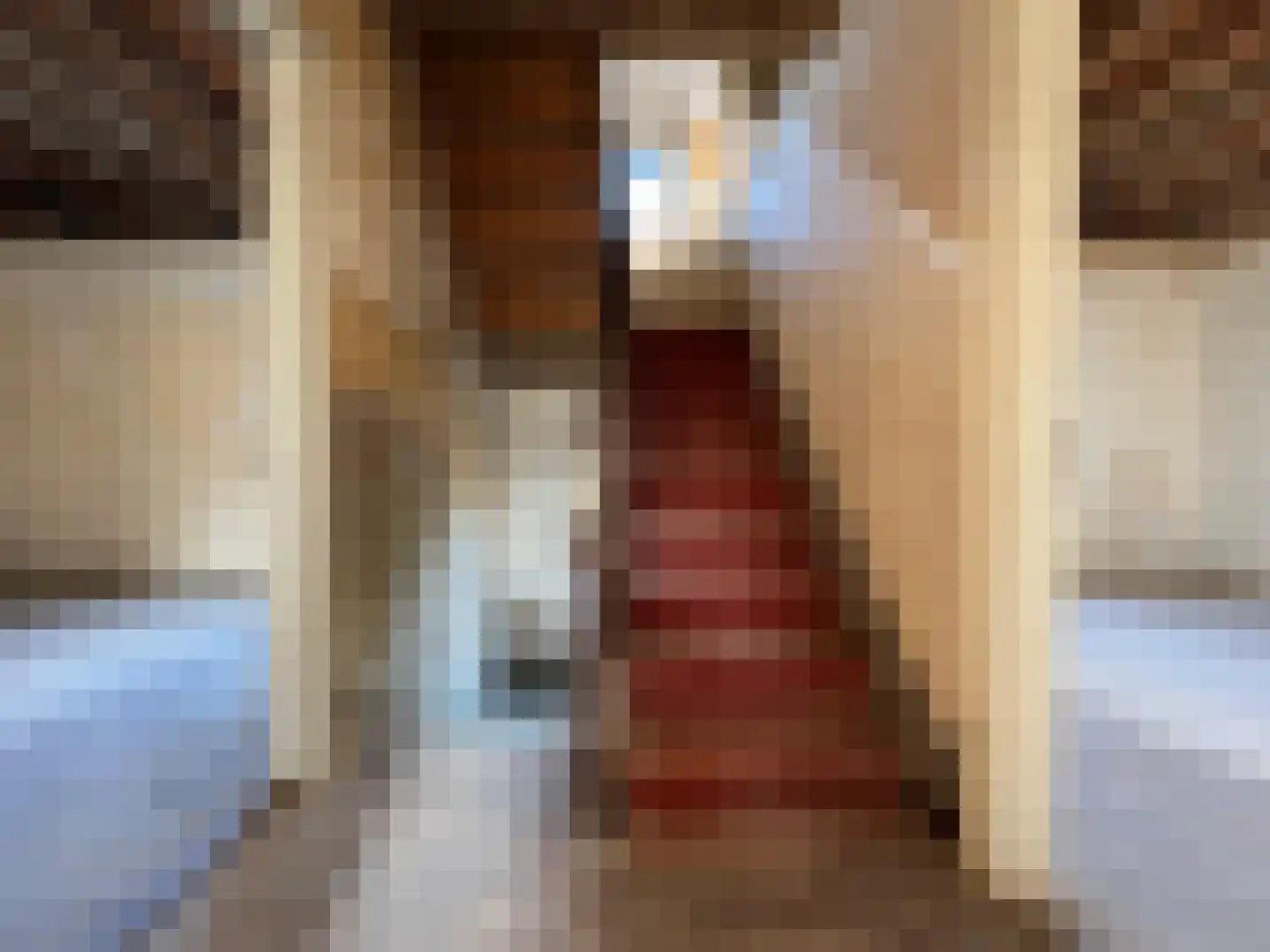 Wilhelminastraat 40 Bocholtz thumbnail 7
