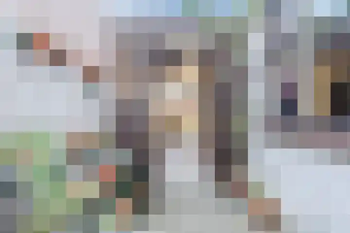 Wilhelminastraat 40 Dongen thumbnail 14
