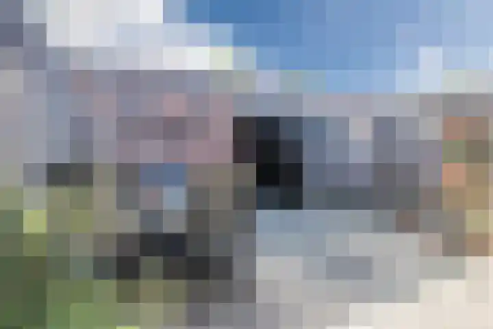 Wilhelminastraat 40 Dongen thumbnail 4