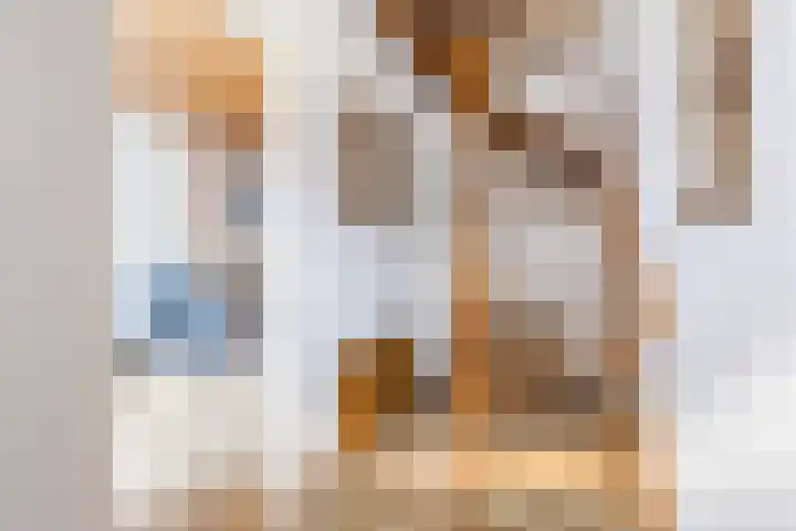 Wilhelminastraat 40 Dongen thumbnail 5