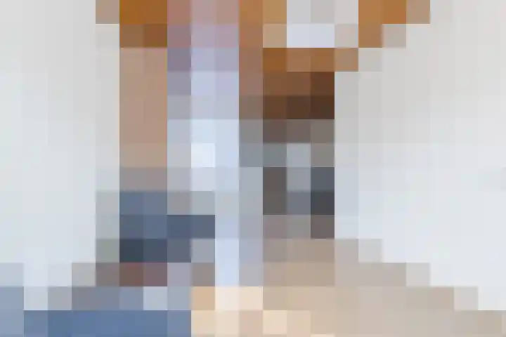 Wilhelminastraat 40 Dongen thumbnail 6