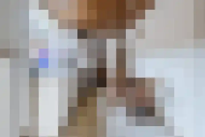 Wilhelminastraat 40 Dongen thumbnail 7