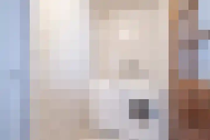 Wilhelminastraat 40 Dongen thumbnail 8