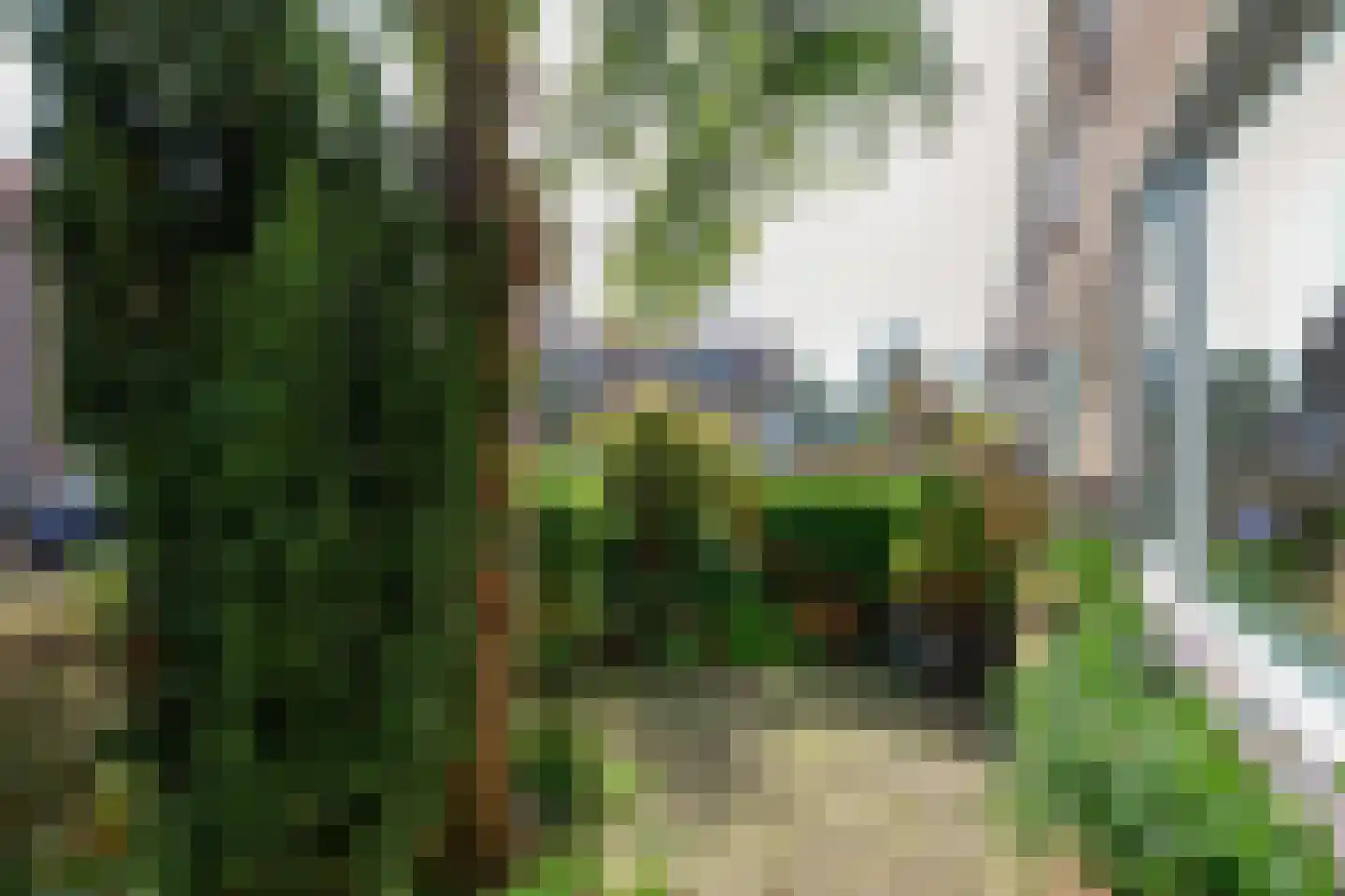 Wilhelminastraat 40 Rozenburg thumbnail 14