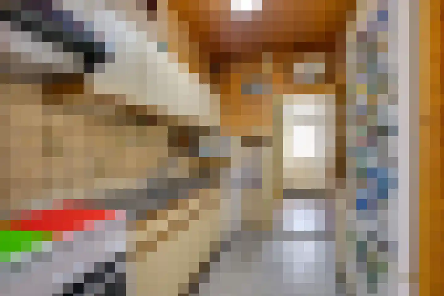 Wilhelminastraat 40 Rozenburg thumbnail 20