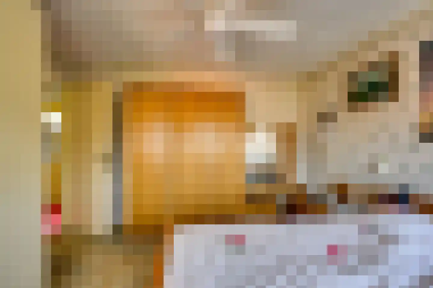 Wilhelminastraat 40 Rozenburg thumbnail 29