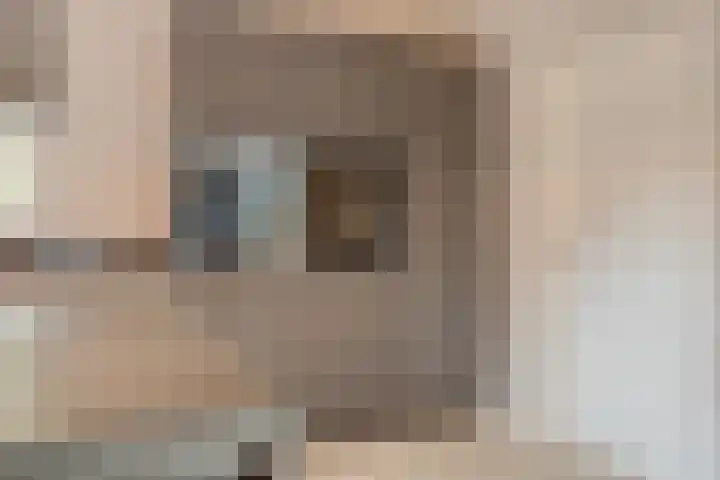 Wilhelminastraat 40 Vlijmen thumbnail 11