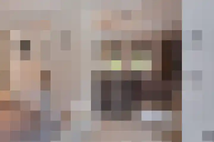 Wilhelminastraat 40 Vlijmen thumbnail 12