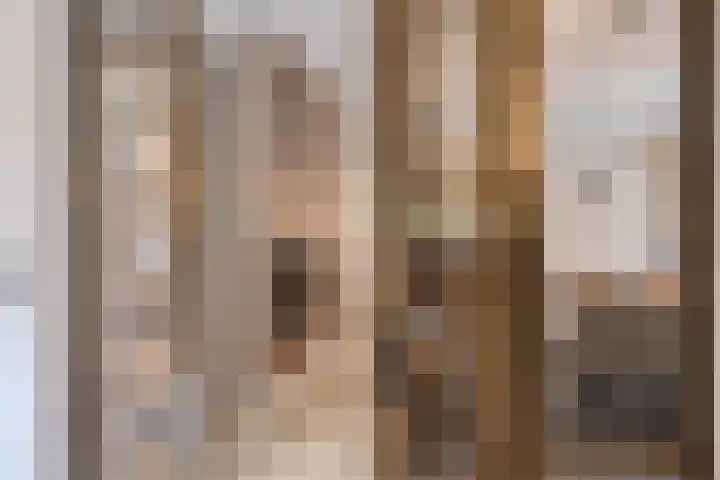 Wilhelminastraat 40 Vlijmen thumbnail 16