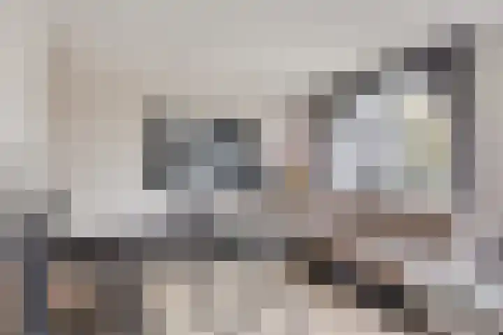 Wilhelminastraat 40 Vlijmen thumbnail 20