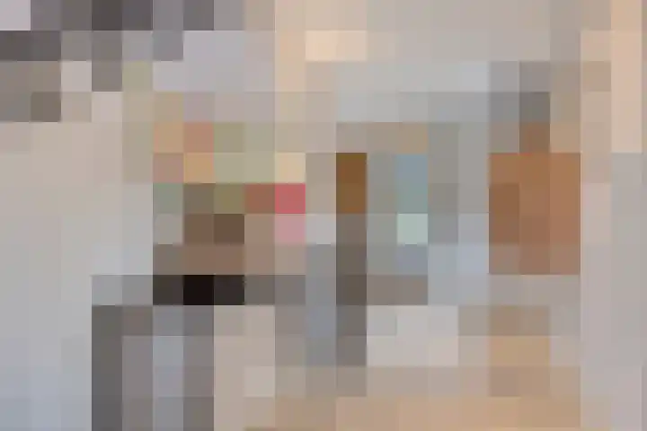 Wilhelminastraat 40 Vlijmen thumbnail 25