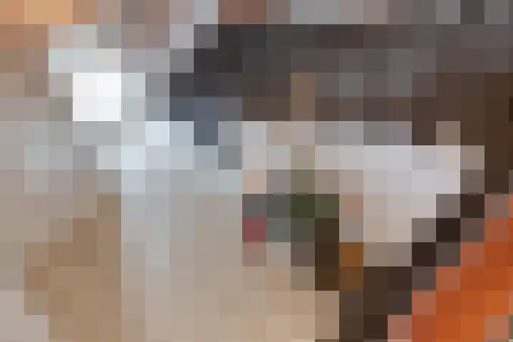 Wilhelminastraat 40 Vlijmen thumbnail 29