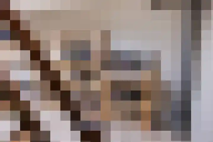 Wilhelminastraat 40 Vlijmen thumbnail 30