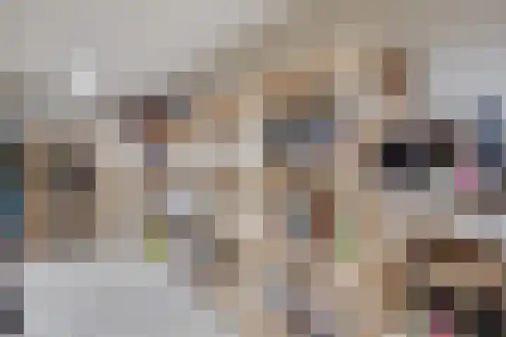 Wilhelminastraat 40 Vlijmen thumbnail 31