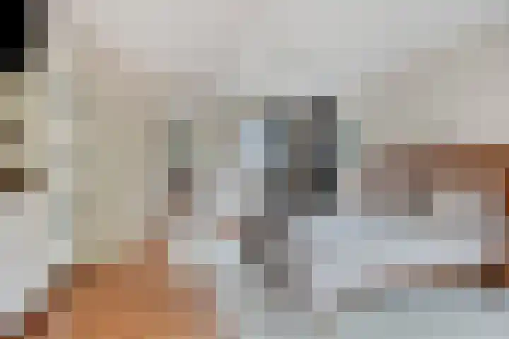 Wilhelminastraat 40 Vlijmen thumbnail 34