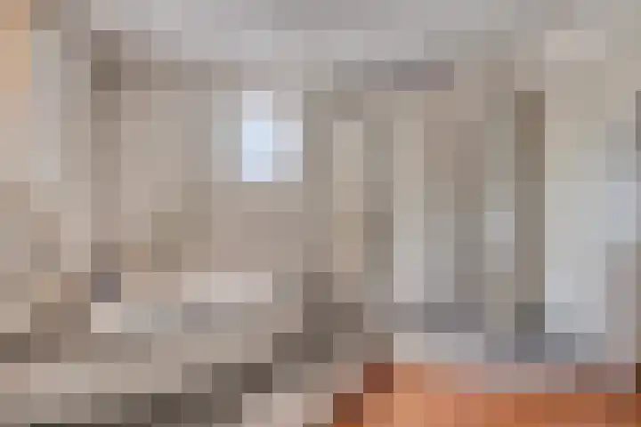 Wilhelminastraat 40 Vlijmen thumbnail 37