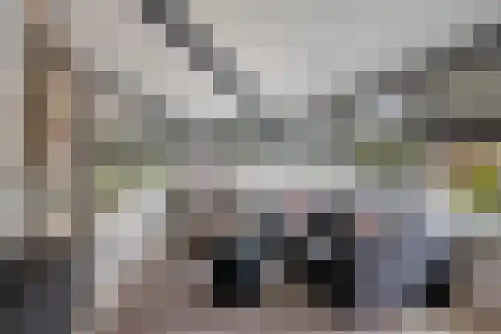 Wilhelminastraat 40 Vlijmen thumbnail 4