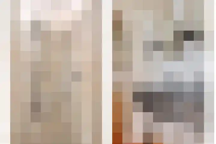 Wilhelminastraat 40 Vlijmen thumbnail 40