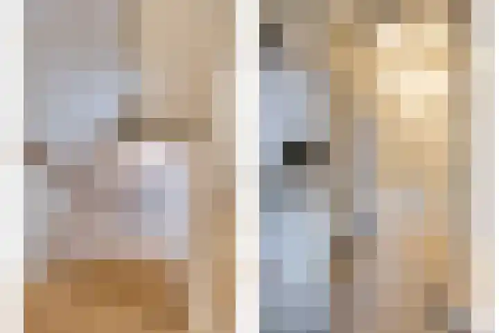 Wilhelminastraat 40 Vlijmen thumbnail 42