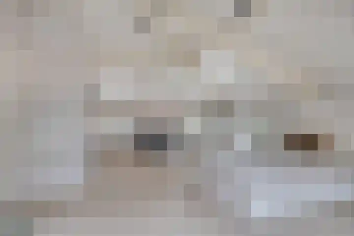 Wilhelminastraat 40 Vlijmen thumbnail 43