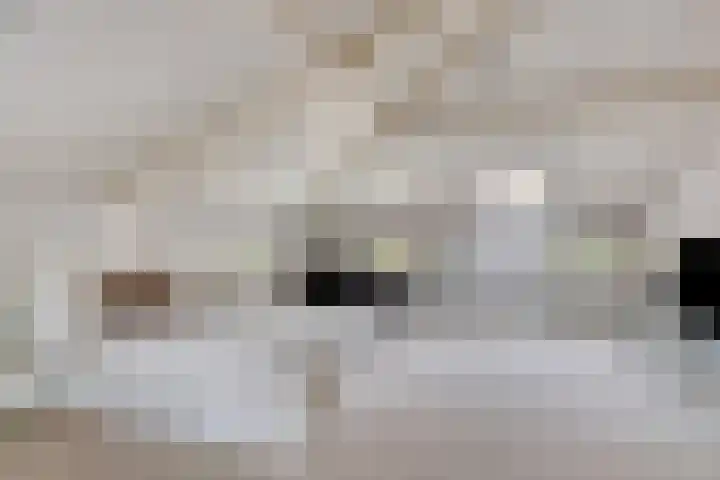 Wilhelminastraat 40 Vlijmen thumbnail 44