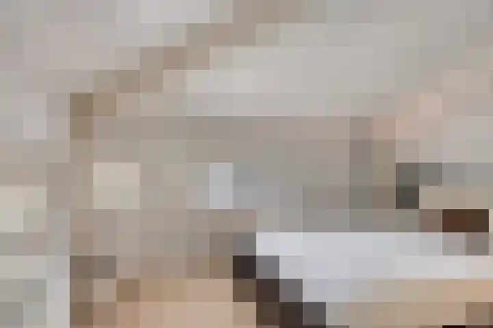 Wilhelminastraat 40 Vlijmen thumbnail 46