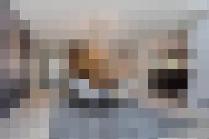 Wilhelminastraat 40 Vlijmen thumbnail 5