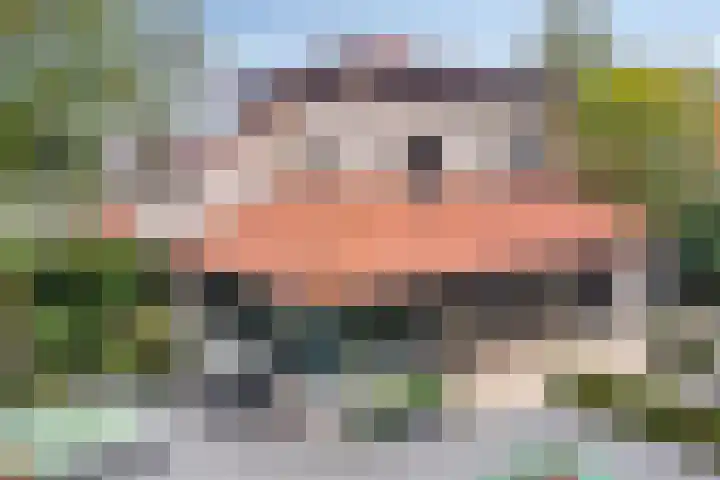 Wilhelminastraat 40 Vlijmen thumbnail 53