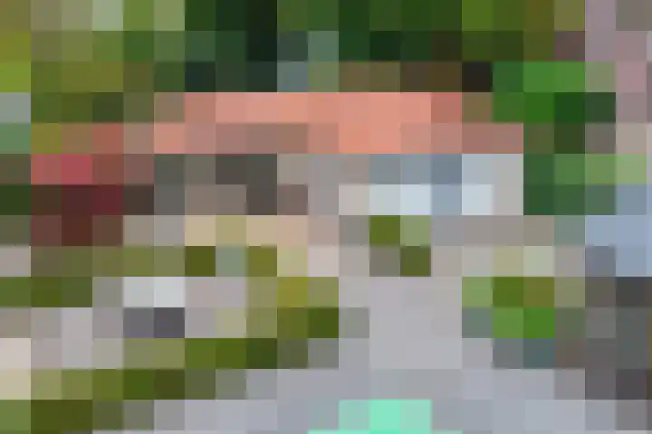 Wilhelminastraat 40 Vlijmen thumbnail 56