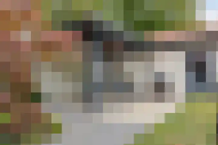 Wilhelminastraat 40 Vlijmen thumbnail 59