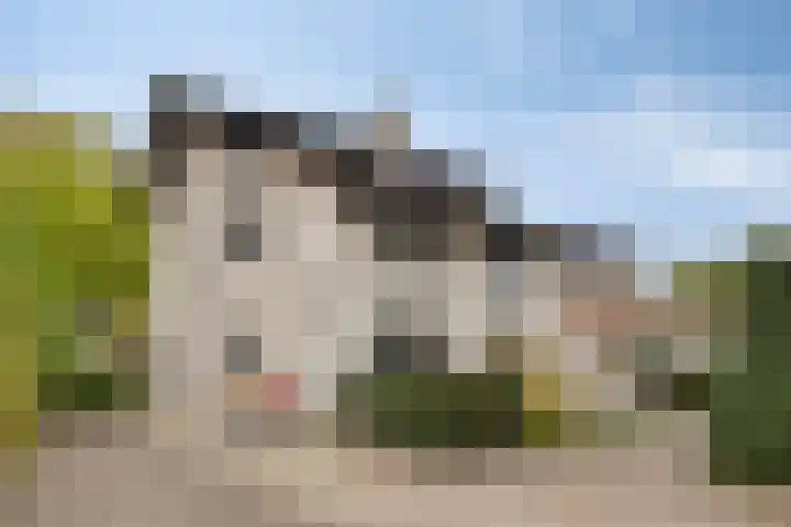 Wilhelminastraat 40 Vlijmen thumbnail 65