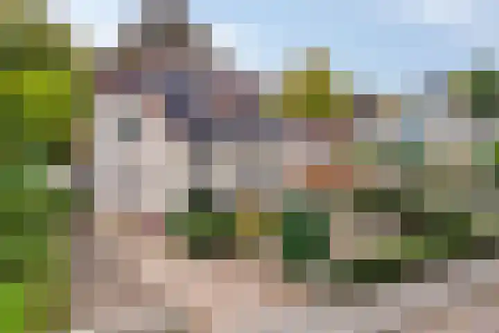 Wilhelminastraat 40 Vlijmen thumbnail 66