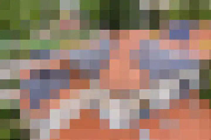 Wilhelminastraat 40 Vlijmen thumbnail 69