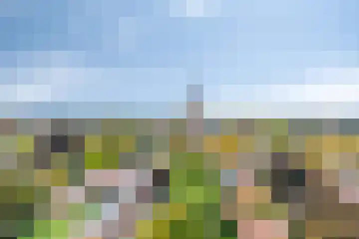 Wilhelminastraat 40 Vlijmen thumbnail 70