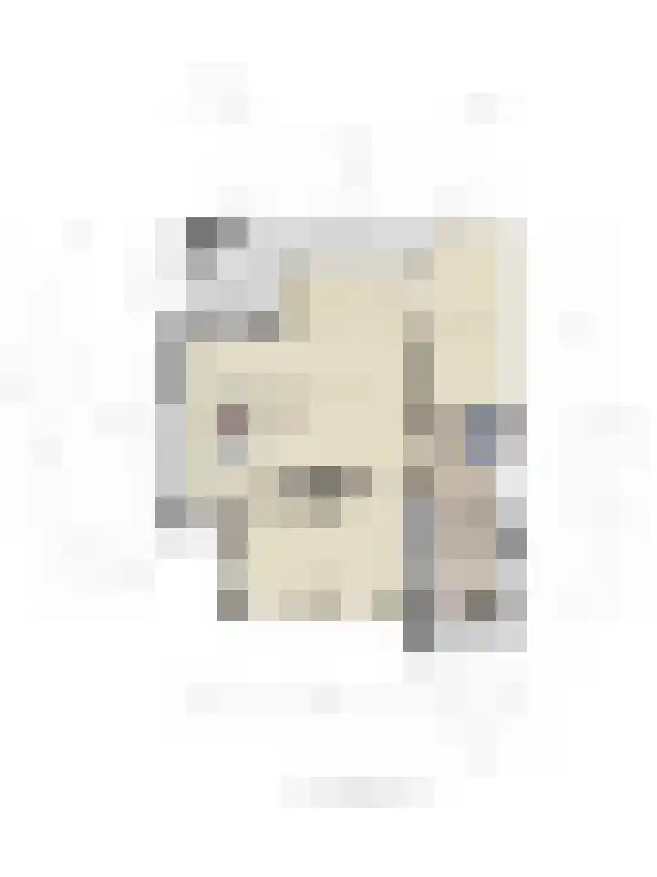 Wilhelminastraat 40 Vlijmen thumbnail 75
