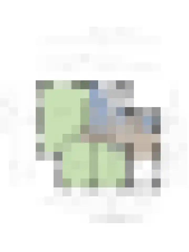 Wilhelminastraat 40 Vlijmen thumbnail 76