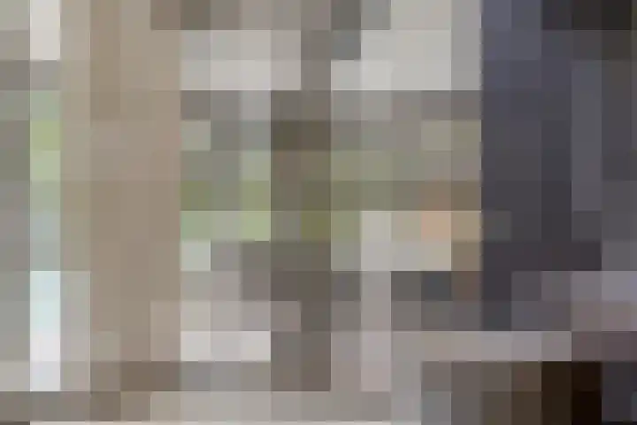 Wilhelminastraat 40 Vlijmen thumbnail 8
