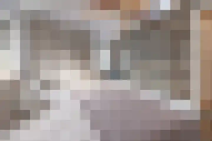 Wilhelminastraat 41 Barneveld thumbnail 16